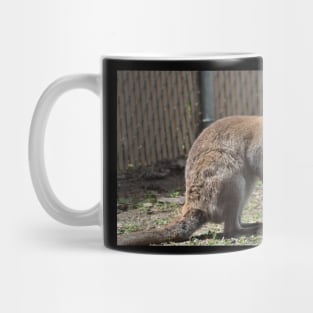 Wallaby Mug